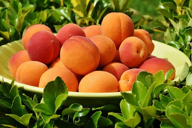 Pigwa pospolita: jak ją przechowywać, by cieszyć się jej aromatem każdego dnia?